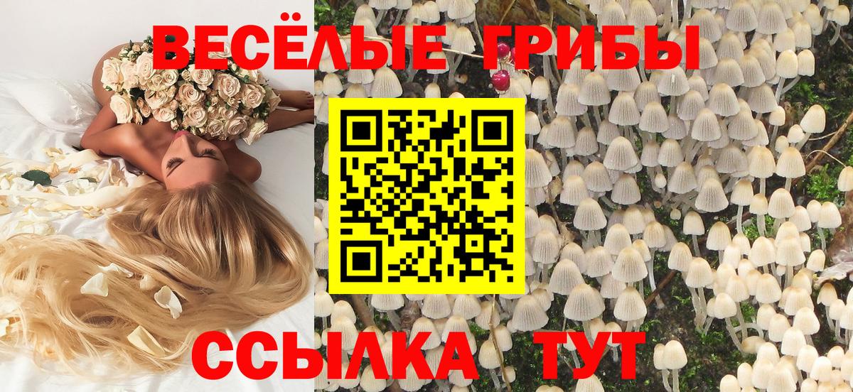 Богородск  Галлюциногенные грибы MAGIC MUSHROOMS  Вход с VPN 