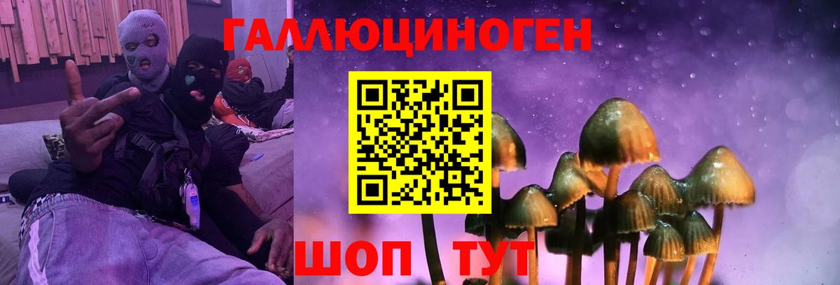 Галлюциногенные грибы Psilocybe Богородск